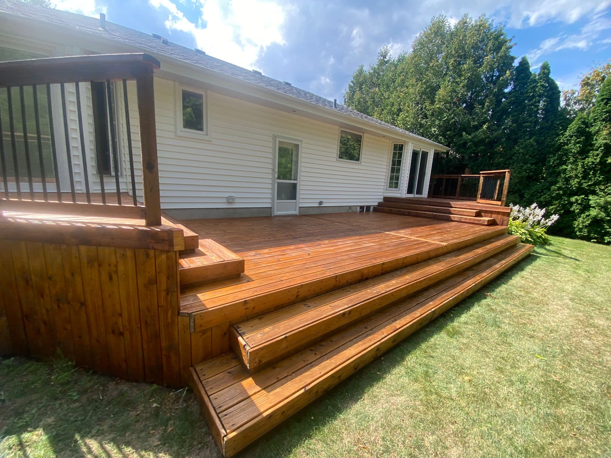 Freshly stained cedar deck with rich amber finish in a Kitchener-Waterloo backyard at golden hour